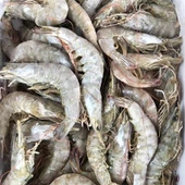 Tôm Vannamei đông lạnh